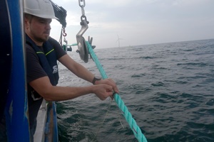 Offshore wind farm research into cultivating less carbon-intensive foods Offshore wind farm research into cultivating less carbon intensive foods