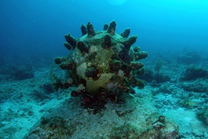 Hughes Subsea awarded UXO contract for East Anglia Three wind farm Hughes Subsea awarded UXO contract for East Anglia Three wind farm