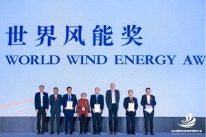 WWEA President Dr. Irfan Mirza handed over the 2025 World Wind Energy Award to the Awardees